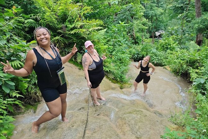 Chiang Mai Sticky Waterfall Dantewada and Banden Temple Tour - Timing, transport, and what the price covers