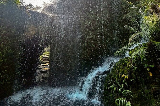 Chiang Mai Sticky Waterfall Dantewada and Banden Temple Tour - Booking details and weather considerations