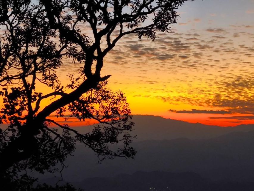 Chiang Mai Sunset Point,Wat Pha Lat,Wat Doi Suthep,Wat Umong - Doi Pui viewpoint and the sunset finish