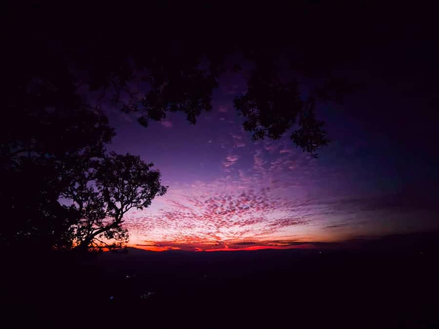 Chiang Mai Sunset Point,Wat Pha Lat,Wat Doi Suthep,Wat Umong - Is $73 a fair price?