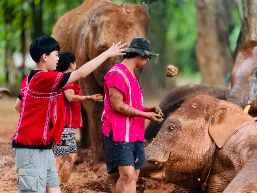 Chiang Mai : Temple , Nature and culture in one day. - Key points to know before booking