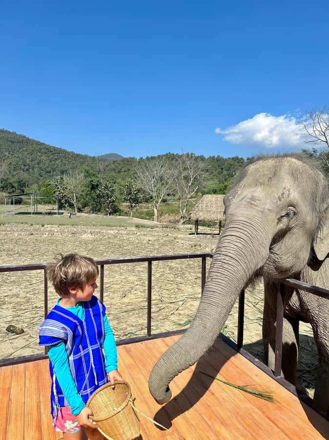 Chiang Mai: Two-day Temple of Elephants Sanctuary Tour - Who should book this experience?