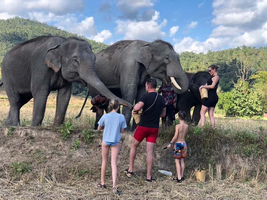 Chiang Mai: Two-day Temple of Elephants Sanctuary Tour - Why this Chiang Mai tour feels different