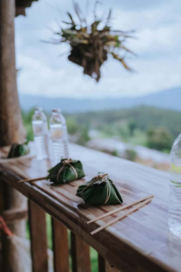 Chiang Mai: Two-day Temple of Elephants Sanctuary Tour - The jungle walk, waterfalls, and local knowledge