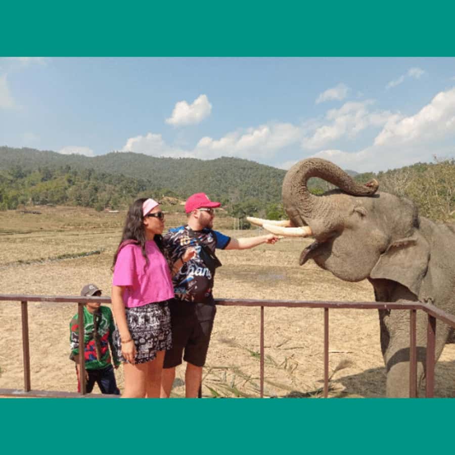 Chiang Mai: Two-day Temple of Elephants Sanctuary Tour - A waterfall hut and dinner under the stars