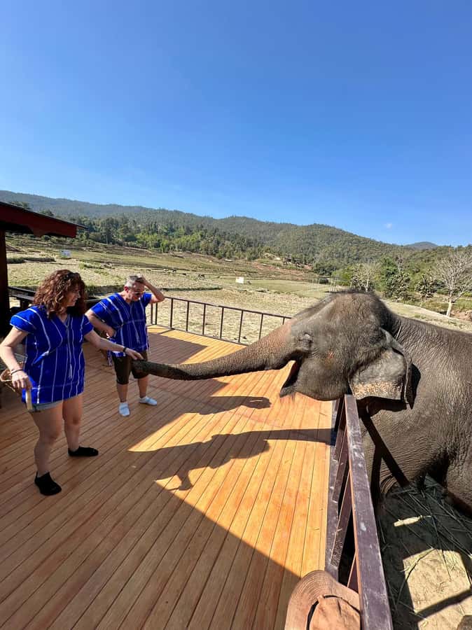 Chiang Mai: Two-day Temple of Elephants Sanctuary Tour - Morning with the elephants