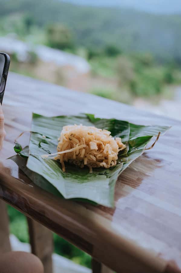 Chiang Mai: Two-day Temple of Elephants Sanctuary Tour - Feeding, mud baths, and river bathing