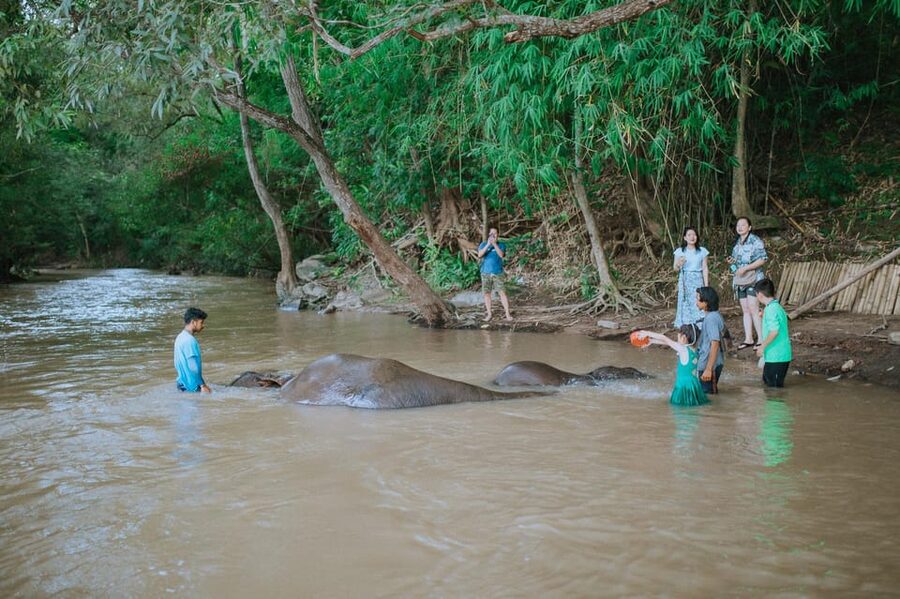 Chiang Mai: Two-day Temple of Elephants Sanctuary Tour - What the $118 price covers