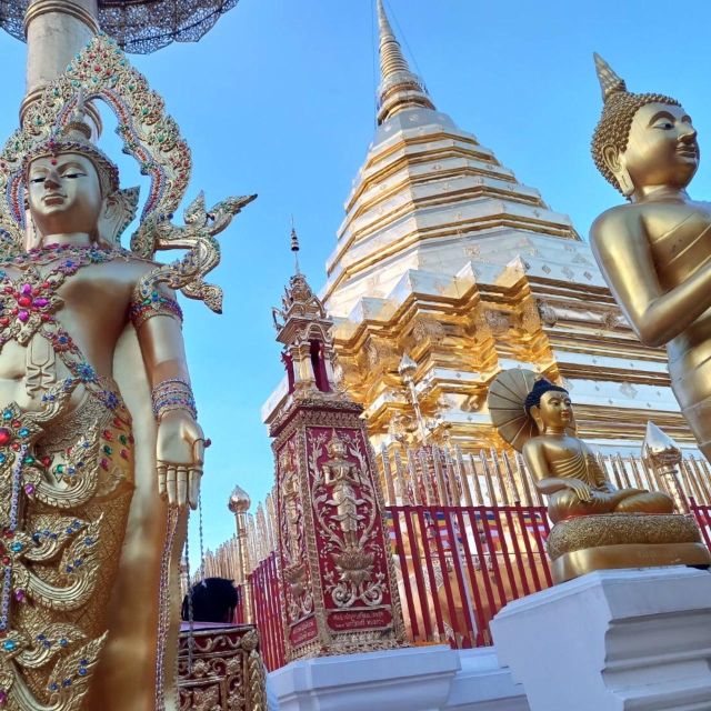 Chiang Mai: Wat Pha Lat & Wat Phra That Doi Suthep Tour - Why this evening temple tour works so well