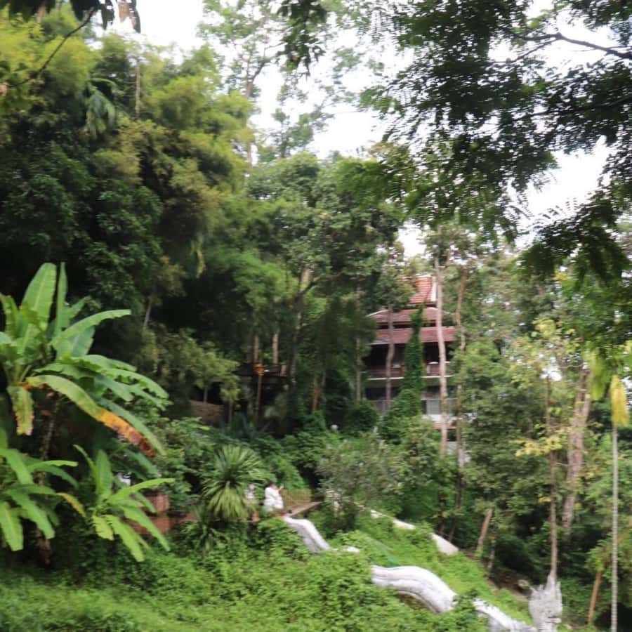 Chiang Mai: Wat Umong, Wat Pha Lat And Wat Doi Suthep Tour - What the $70 Price Really Covers