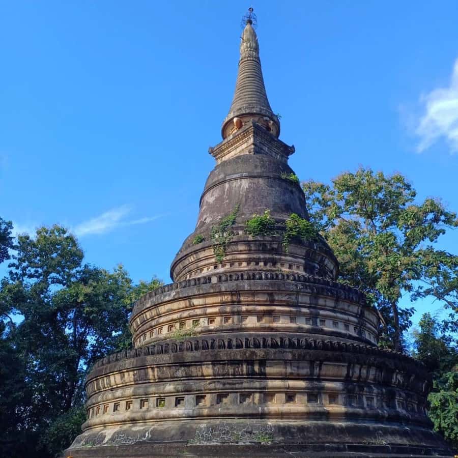 Chiang Mai: Wat Umong, Wat Pha Lat And Wat Doi Suthep Tour - Clothing, Shoes, and Temple Manners