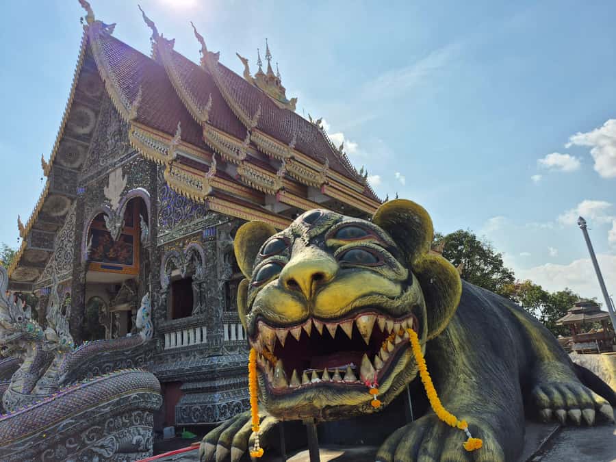 Chiang Rai : Half-Day Temple Tour in Chiang Rai (8 am -1 pm) - Wat Doi Khao Khwai and the quieter finish