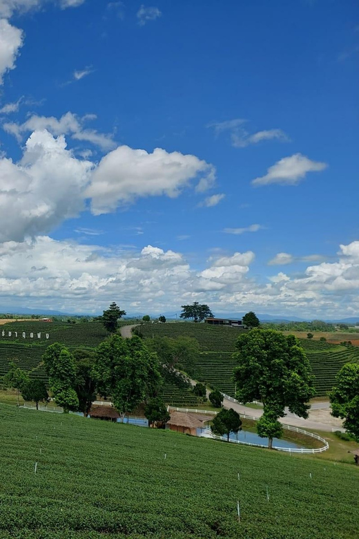Chiang Rai: Temple Treasures & Popular Sightseeings (Buffet) - Key points to know before booking