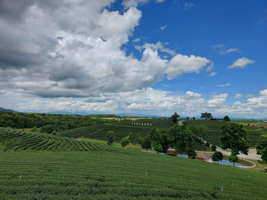 Chiang Rai: Temple Treasures & Popular Sightseeings (Buffet) - The Golden Triangle from the Thai side