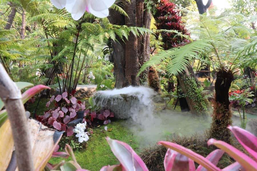 Chiang Rai: Temples Trip with Sang Kaew and Lalitta Cafe - Lalitta Cafe feels like a storybook pause