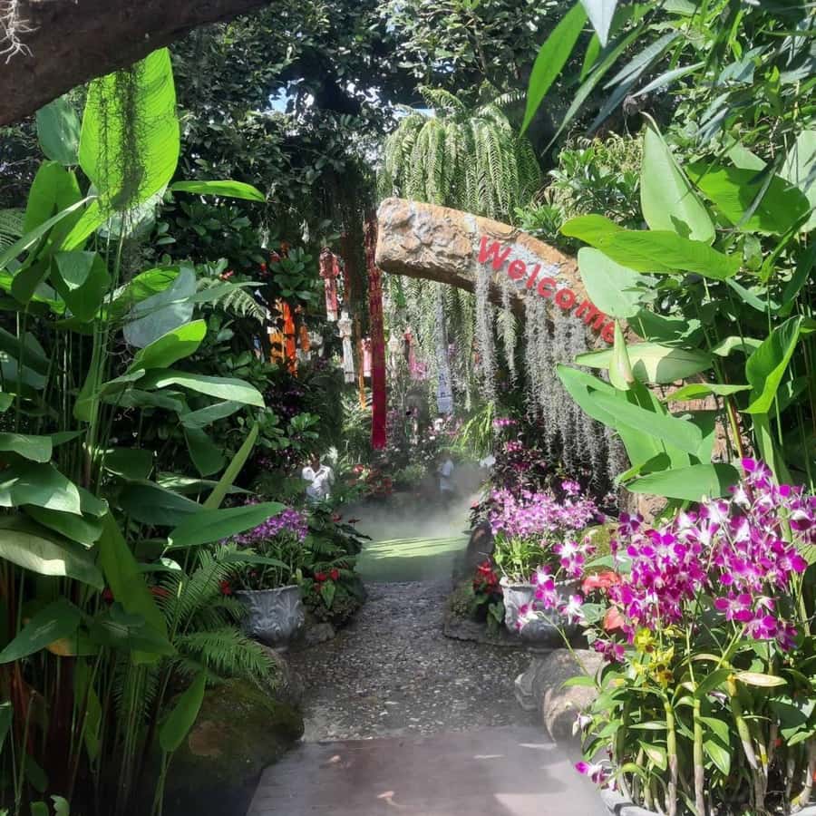 Chiang Rai White & Blue & Huay Pla Kang Temple& Lalitta Cafe - Why this Chiang Rai day trip works