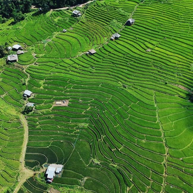 Chiangmai : Doi Inthanon unseen spot , Rice terrace & temple - Why this Doi Inthanon day trip is different