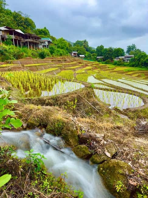 Chiangmai : Doi Inthanon unseen spot , Rice terrace & temple - Ban Mae Klang Laung and a taste of Karen life
