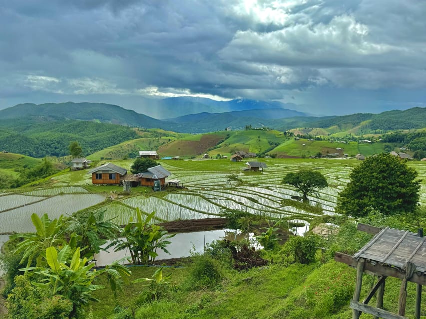 Chiangmai : Doi Inthanon unseen spot , Rice terrace & temple - Eddie’s guiding style can shape the day