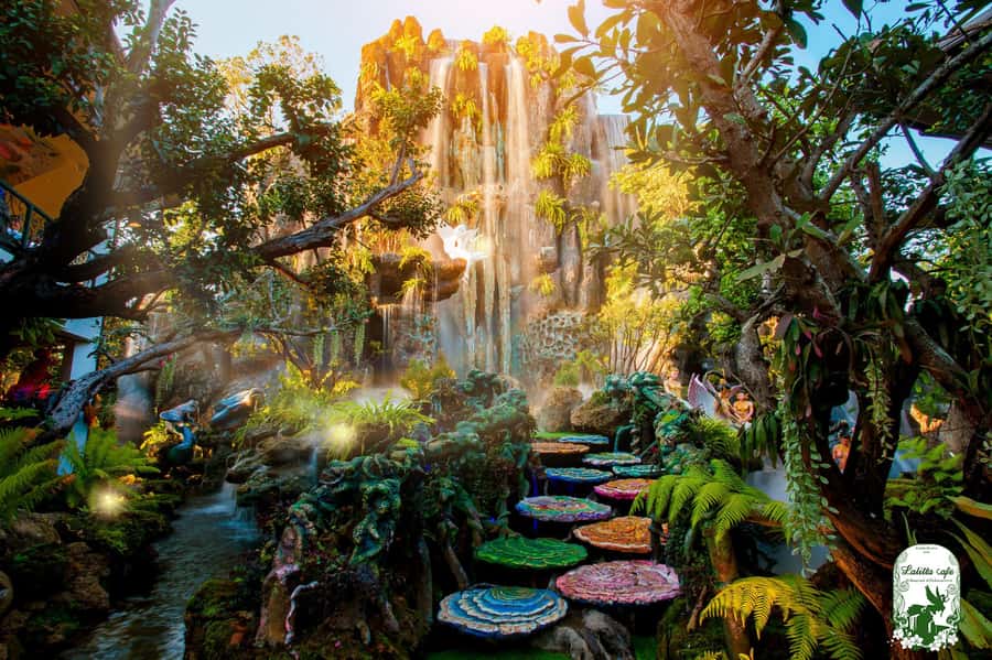 Chiangmai to Chiangrai: 3 Temples, Hot Springs& Lalitta Cafe - Key points before you book