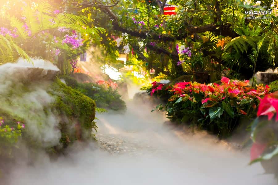 Chiangmai to Chiangrai: 3 Temples, Hot Springs& Lalitta Cafe - Lalitta Cafe and its waterfall garden