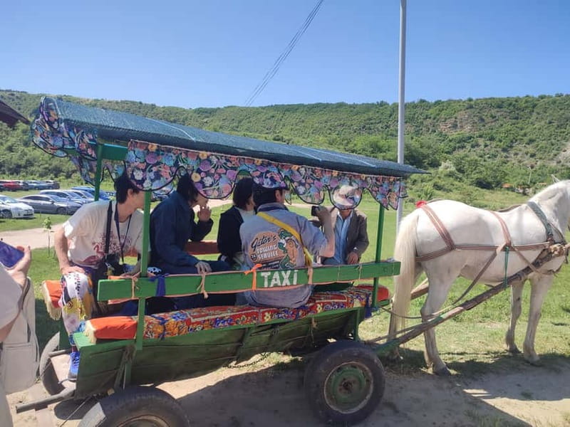 Chisinau: Cricova Winery, Curchi Monastery, & Old Orhei Tour - Who should book this Moldova tour?