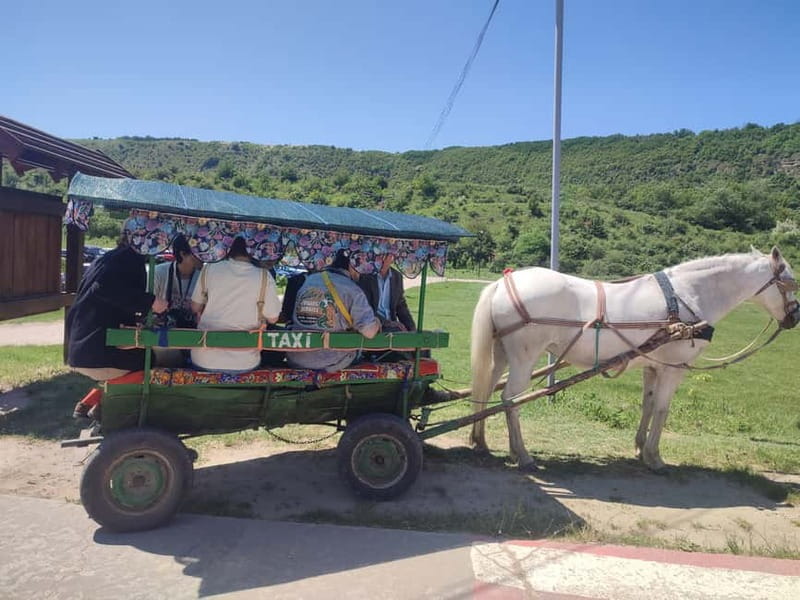 Chisinau: Cricova Winery, Curchi Monastery, & Old Orhei Tour - Why this day trip works so well