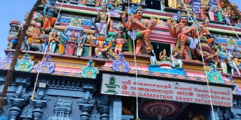 Colombo Port Shore Excursions Colombo City & Kalaniya Temple - What $90 per person buys you