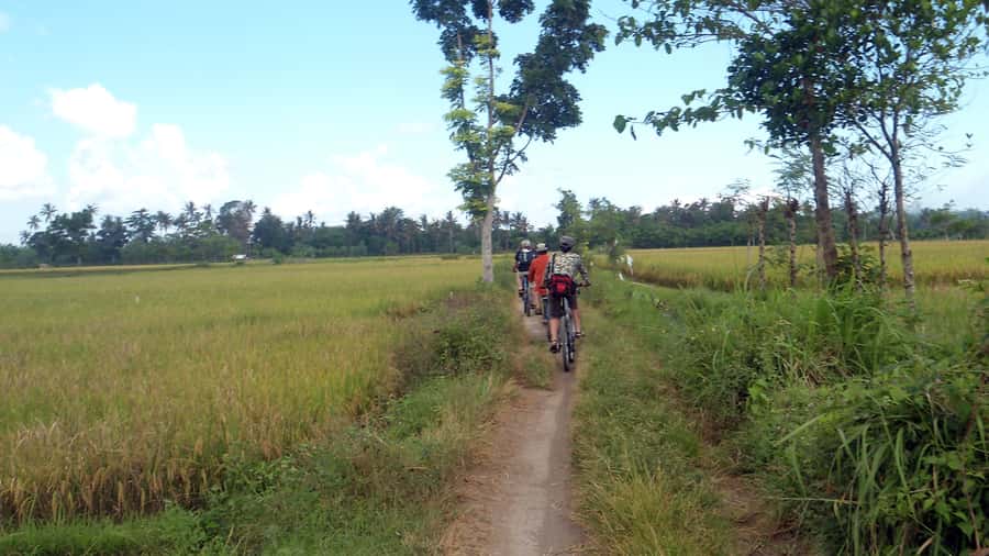Countryside Bike Ride to Golong Village and Lingsar Temple - Key points to know before you pedal