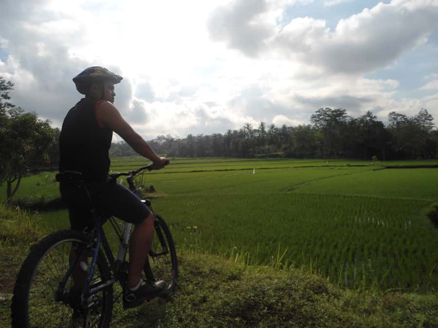 Countryside Bike Ride to Golong Village and Lingsar Temple - Rice paddies, village roads and a working side of Lombok