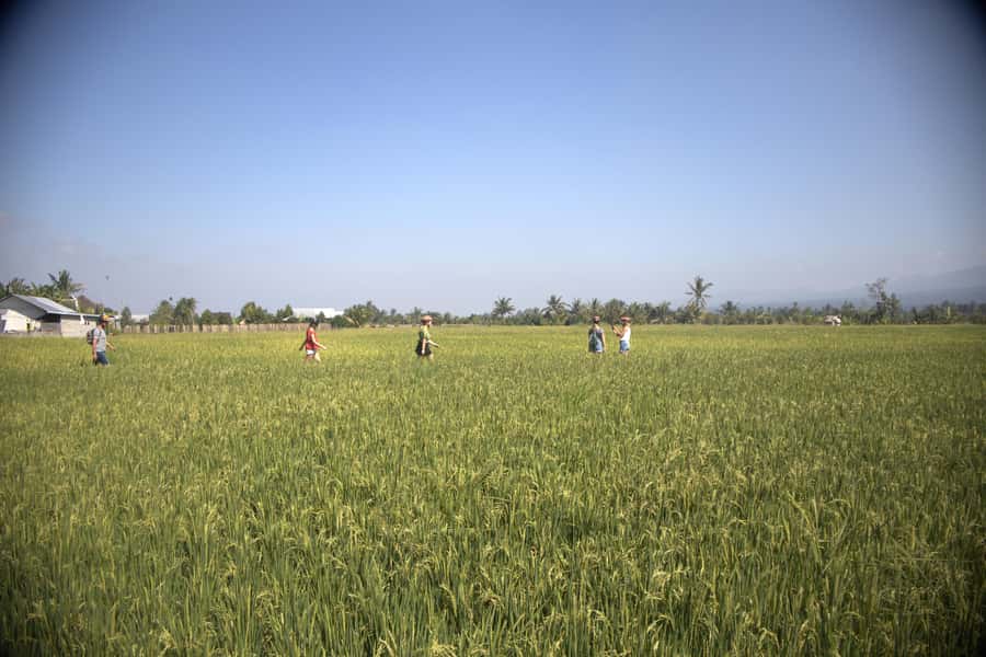 Countryside Bike Ride to Golong Village and Lingsar Temple - Suranadi Temple and the meeting of Hindu and Muslim traditions