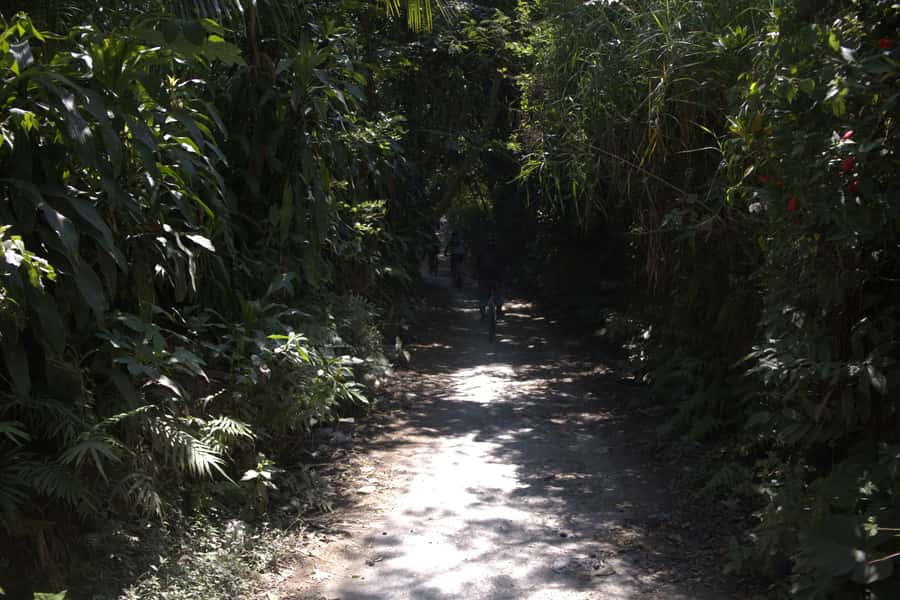 Countryside Bike Ride to Golong Village and Lingsar Temple - Ranget Natural Spring and the mid-ride reset