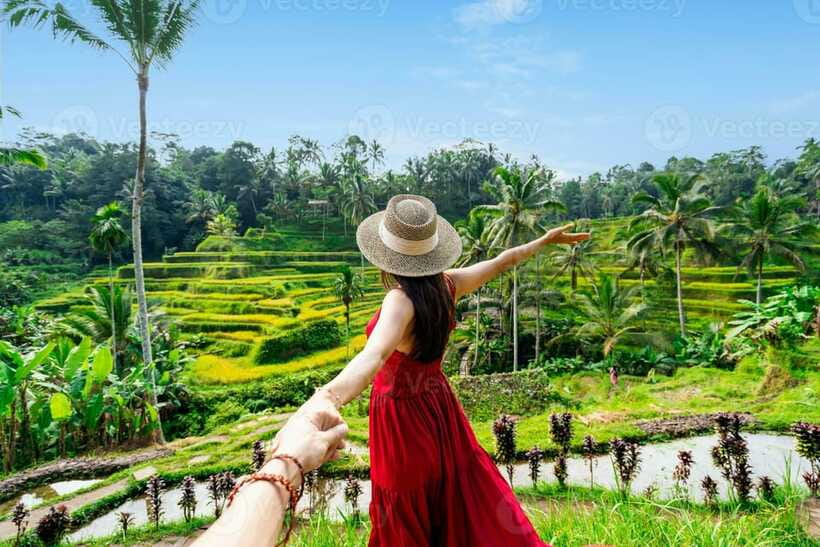 Cretya Ubud, Rice Terrace, Temple & Waterfall Day Tour - Lunch and the rice-field pool bar at Cretya Ubud