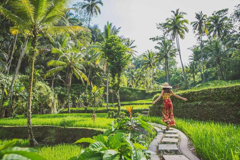 Cretya Ubud, Rice Terrace, Temple & Waterfall Day Tour - Transport, timing, and guide quality