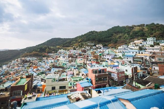 Cruise Layover Busan Highlight Tour with Sea temple and Gamcheon - Haedong Yonggungsa and the best ocean view