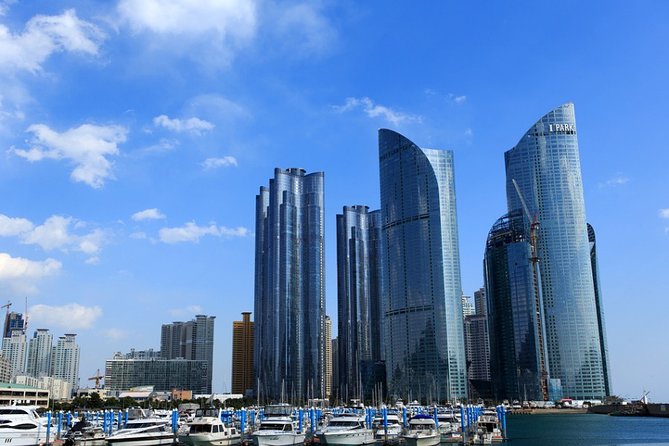 Cruise Layover Busan Highlight Tour with Sea temple and Gamcheon - What the guide can add, and where the risk lies