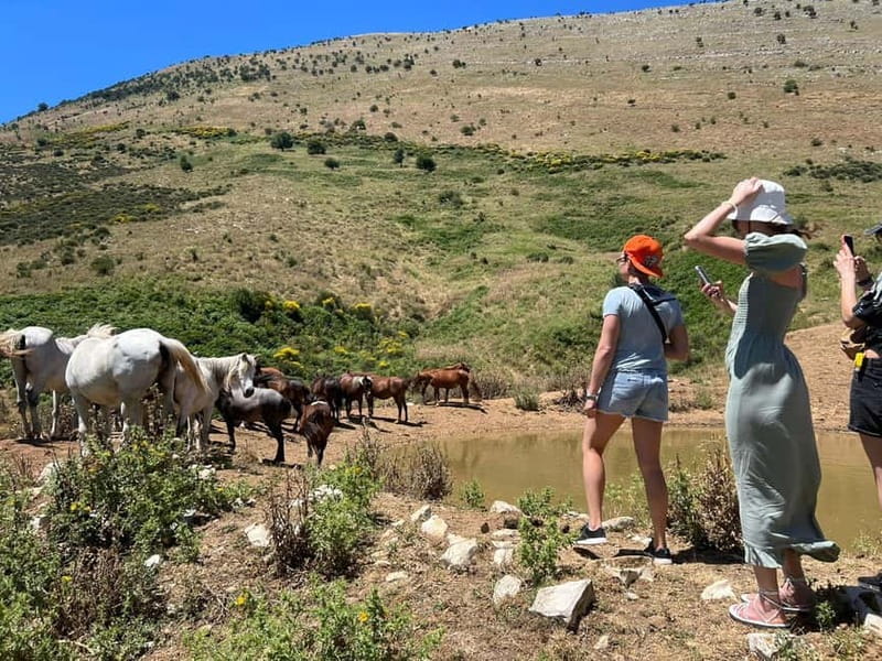 Daily Trip To:Blue Eye,Monastery,Gjirokaster&Lekursi Castle - The Blue Eye’s clear spring and forest walk