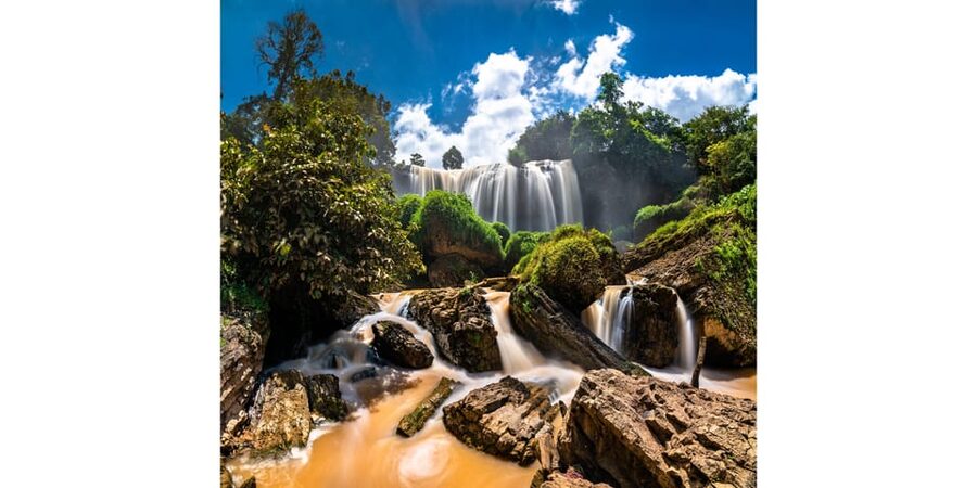 Dalat Group Easy Rider - Elephant Fall-Pagoda-Weasel Coffee… - Cricket farm and a bold local tasting