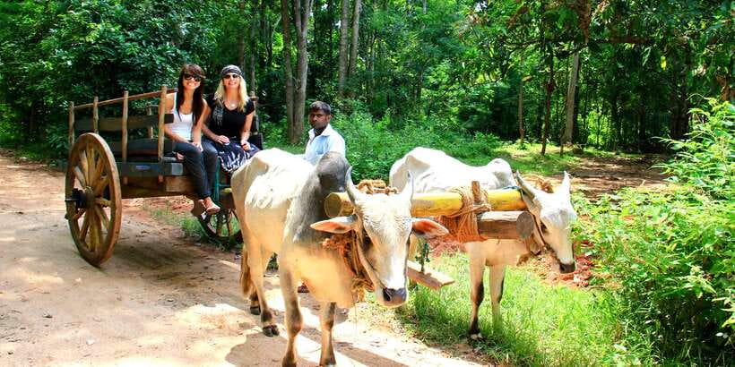 Dambulla: Cave Temple and Village All-Inclusive Tour - Who will enjoy this tour most?