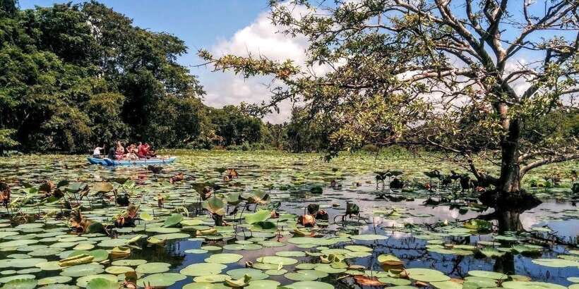 Dambulla: Caves Temple & Traditional Village Tour with Lunch - From temple walls to Hiriwadunna village