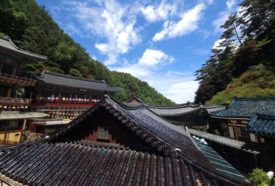 Danyang Tour:Guinsa Temple & Bobaljae & Cheongpung Cable Car - What the Seoul transfer adds to the price