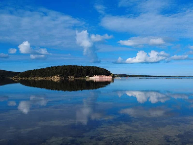 Day tour to: Apollonia, Narta Lagoon & Zvernec Monastery - Narta Lagoon and the road to Zvernec