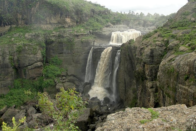 Day Trip From Addis Ababa See Historical Monastery,Stunning Nature,Animals,Birds - The walk to the Portuguese Bridge
