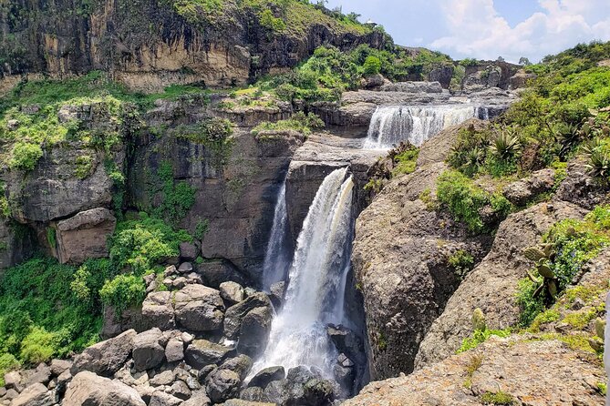 Day Trip From Addis Ababa See Historical Monastery,Stunning Nature,Animals,Birds - Is $90 good value?