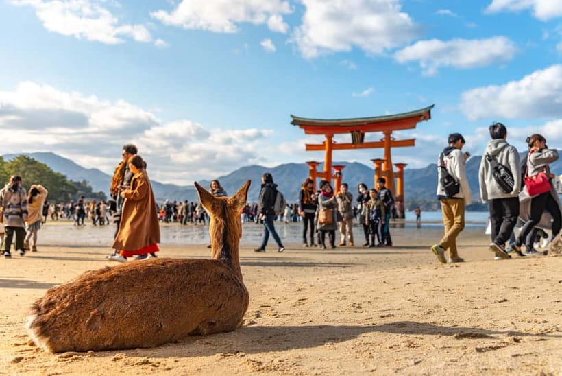 Day Trip to Hiroshima & Miyajima with Itsukushima Shrine - Starting at Hiroshima Station or Miyajima-guchi
