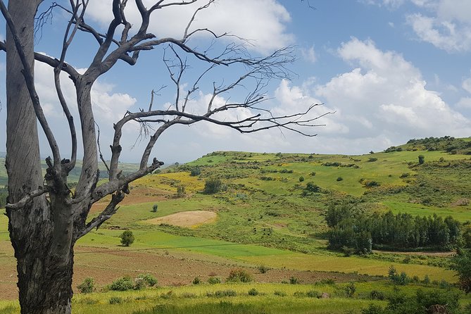 Debre Libanos Monastery and Jemma River Gorge - Day Tour from Addis Ababa - Leaving Addis Ababa for Debre Libanos
