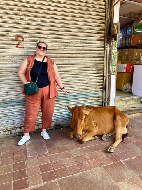 Delhi: Old Delhi's Street Food, Temples & Spice Market Tour - Why this Old Delhi tour deserves attention