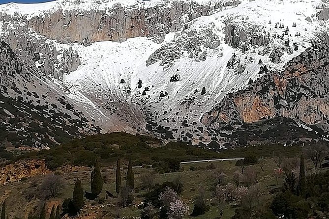 Delphi Full Day Private Tour: Temple of Apollo, Museum, Navel of Earth & Oracle - The Navel of the Earth and the stories behind Delphi