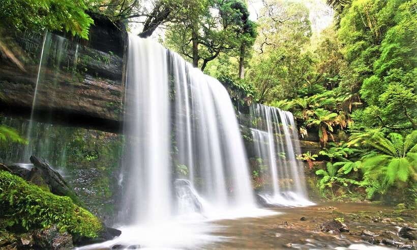 Discover Da Lat Waterfalls, Pagodas & Traditional Villages - Datanla Waterfall and the alpine coaster question