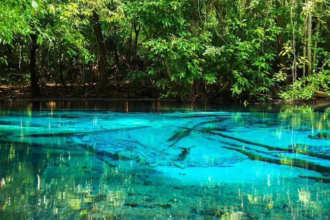 Discover Krabi - Emerald Pool, Hot Springs & Tiger Cave Temple - The day at a glance